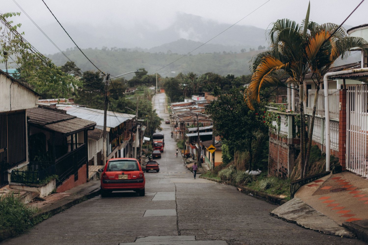 A mountain-town street in the mist, lined with houses and palm trees